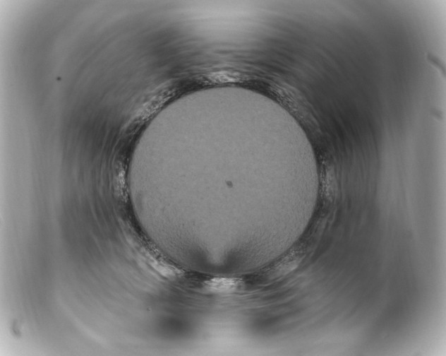 X0000099380418200805291132