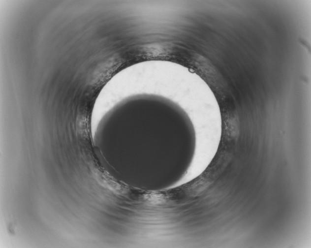 X0000099380419200805291132