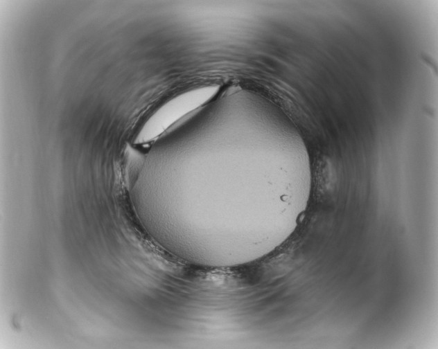 X0000099380420200805291132