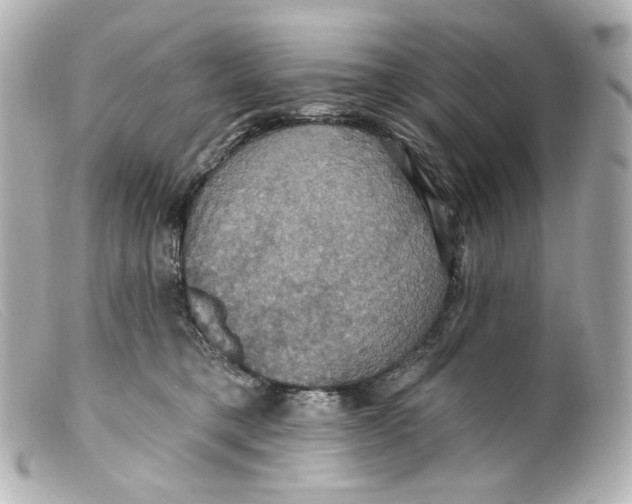 X0000099380421200805291132