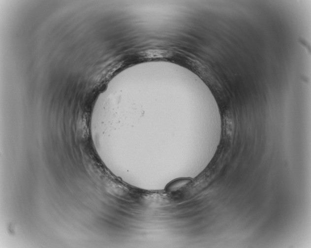 X0000099380422200805291132