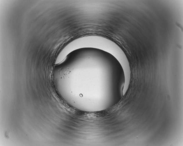 X0000099380423200805291132