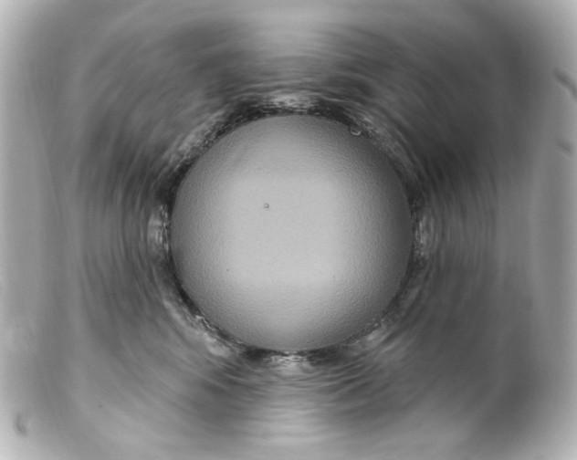 X0000099380424200805291132