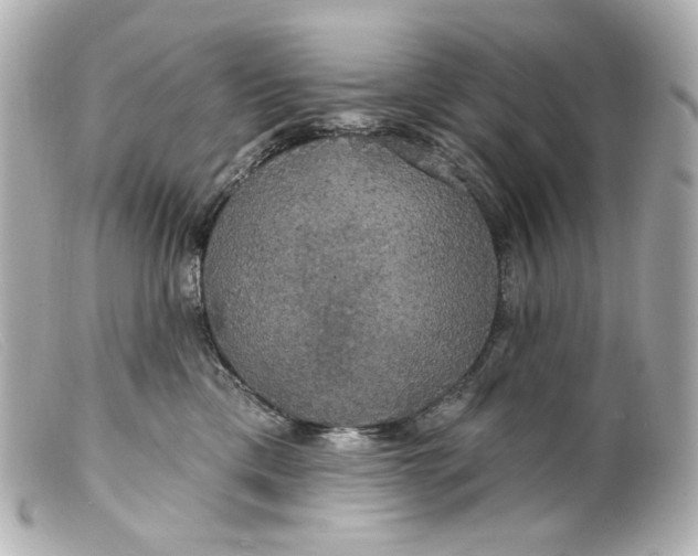 X0000099380425200805291132