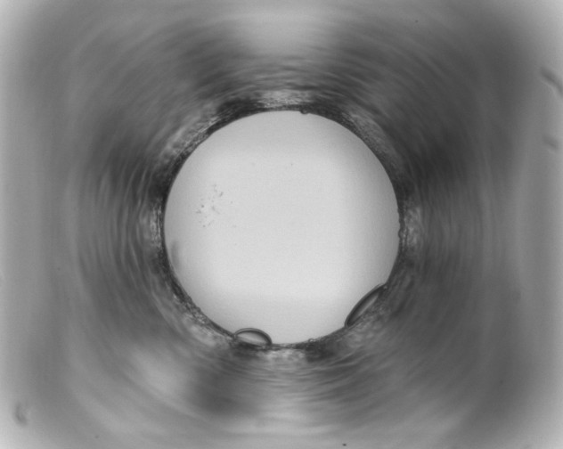 X0000099380426200805291132