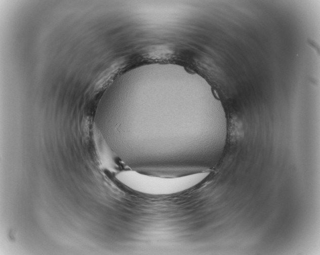 X0000099380428200805291132