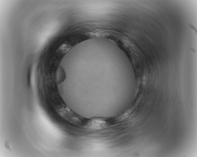 X0000099380429200805291132