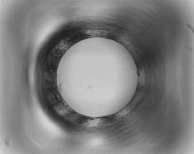 X0000099380430200805291132