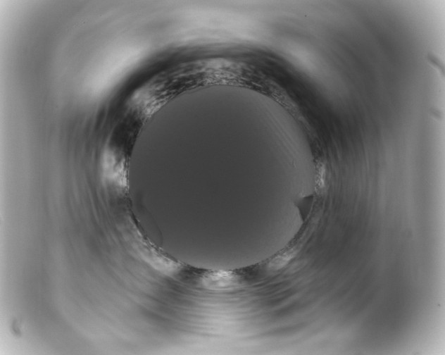 X0000099380431200805291132