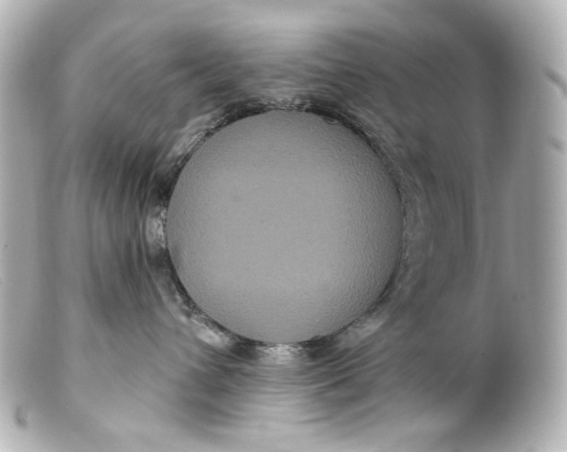 X0000099380432200805291132