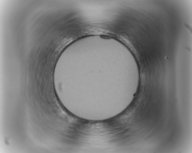 X0000099380433200805291131