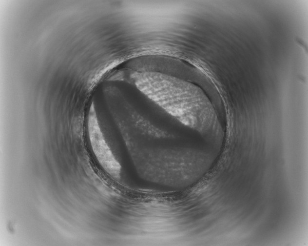 X0000099380434200805291132