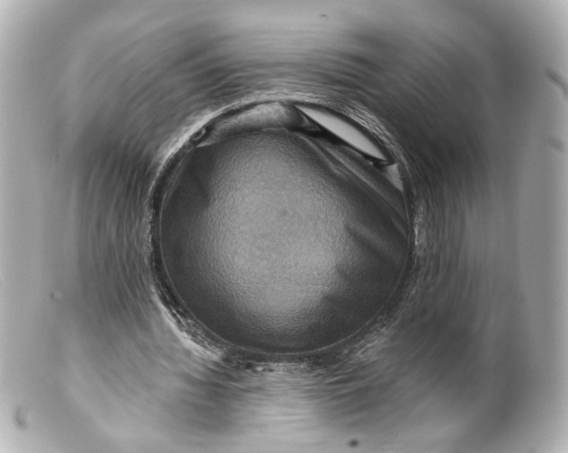 X0000099380436200805291132