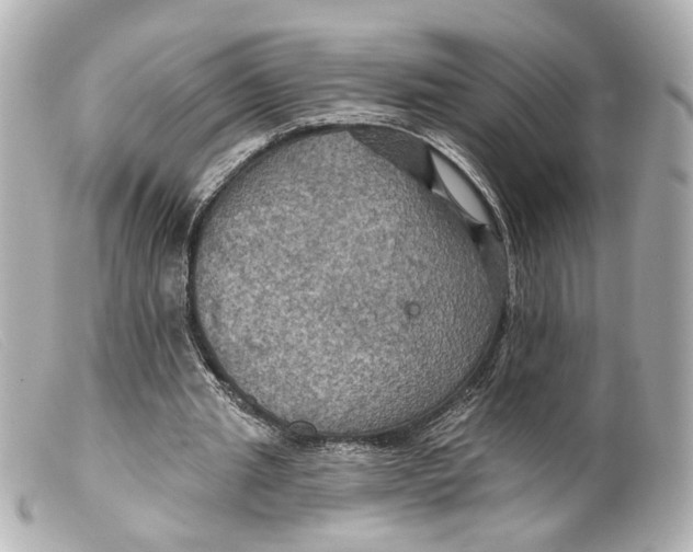 X0000099380437200805291132