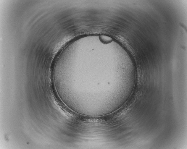 X0000099380439200805291132