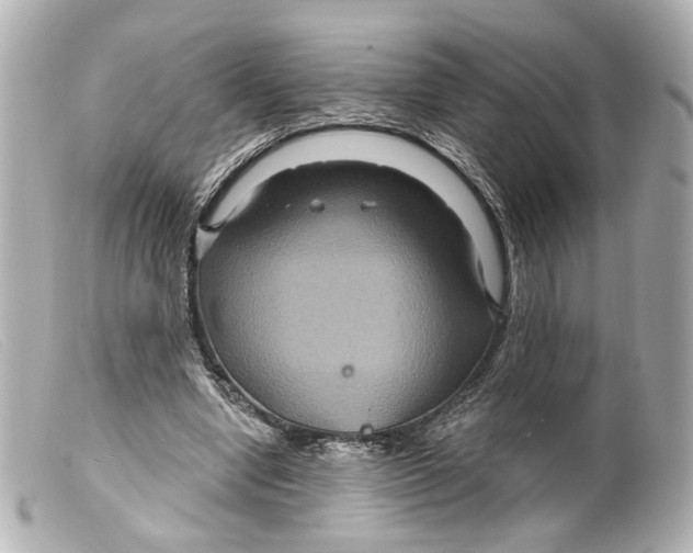 X0000099380442200805291132