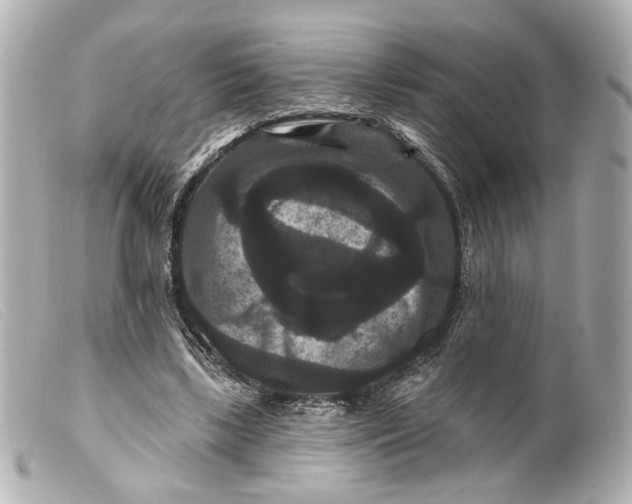 X0000099380443200805291132