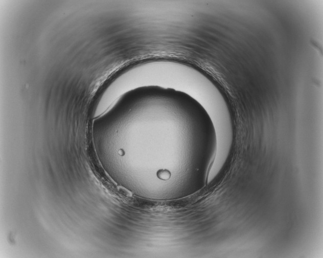 X0000099380444200805291132