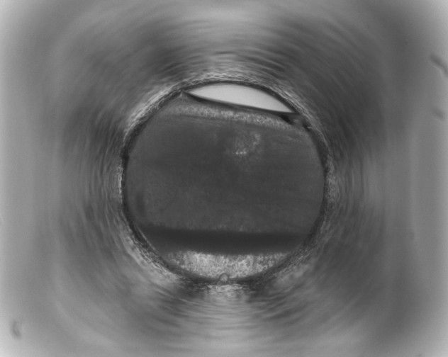 X0000099380446200805291132