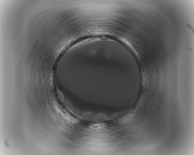 X0000099380447200805291132