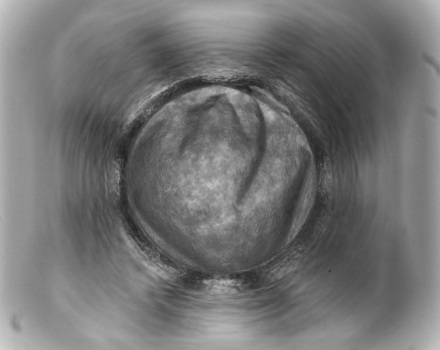 X0000099380448200805291132