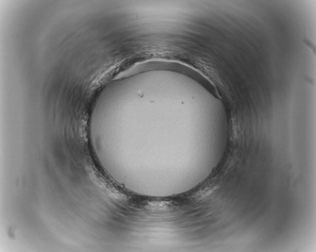 X0000099380450200805291132