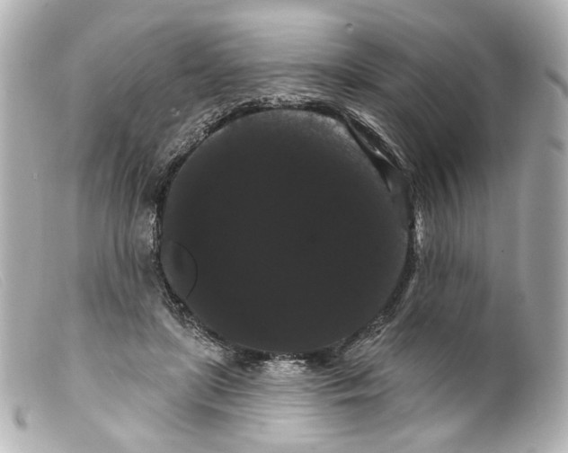 X0000099380451200805291132