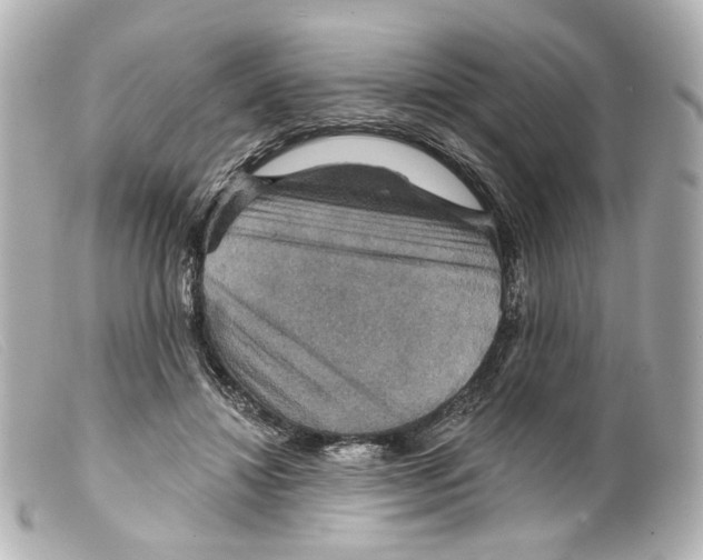 X0000099380452200805291132