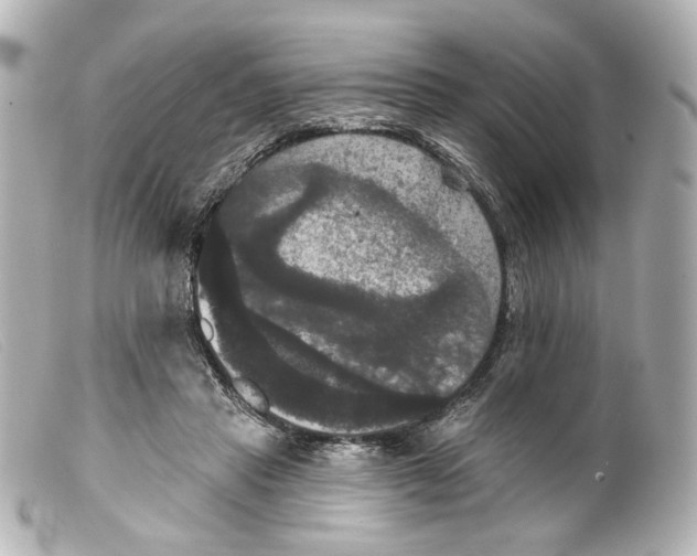 X0000099380453200805291132