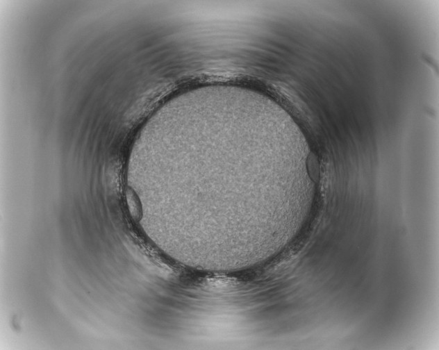 X0000099380455200805291132