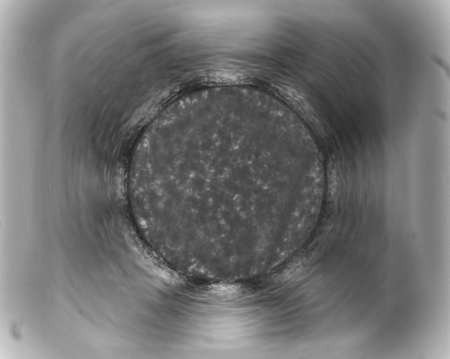 X0000099380457200805291132