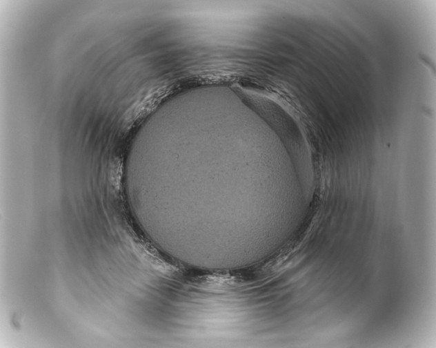 X0000099380458200805291132