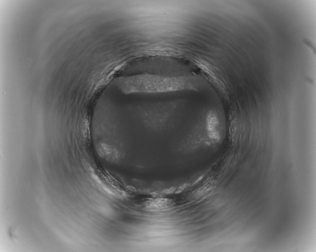 X0000099380459200805291132