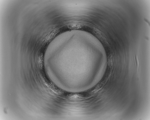 X0000099380460200805291132