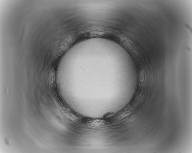 X0000099380463200805291132