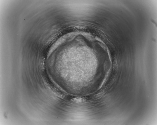 X0000099380464200805291132