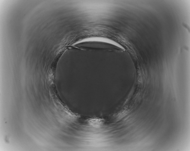 X0000099380465200805291132