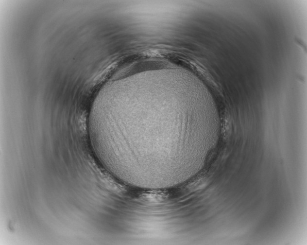 X0000099380466200805291132