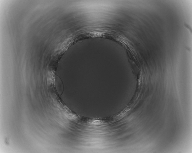 X0000099380467200805291132