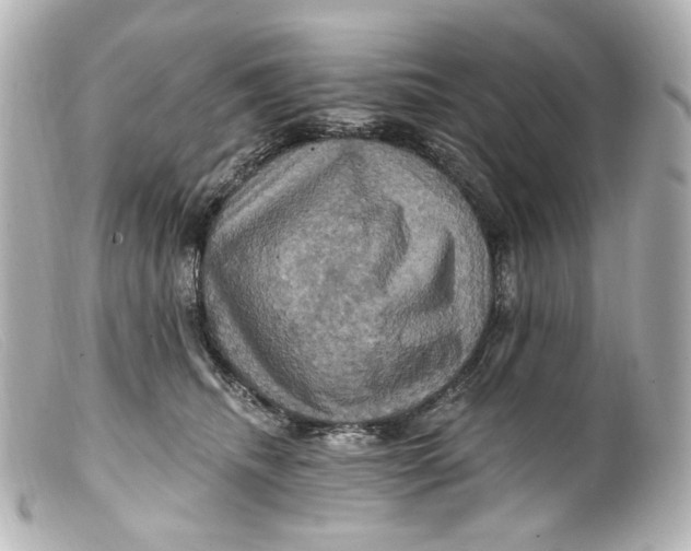 X0000099380468200805291132