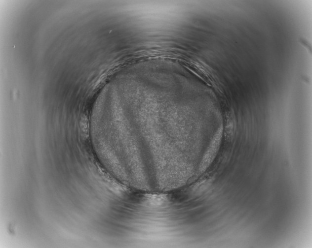 X0000099380469200805291132