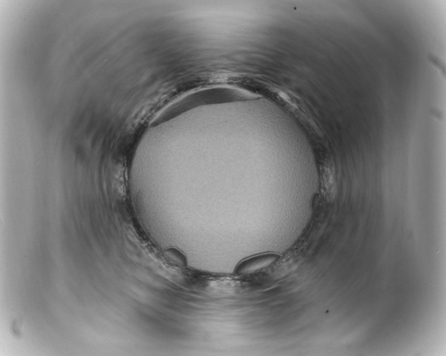 X0000099380470200805291132