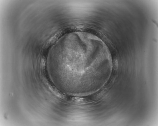 X0000099380472200805291132