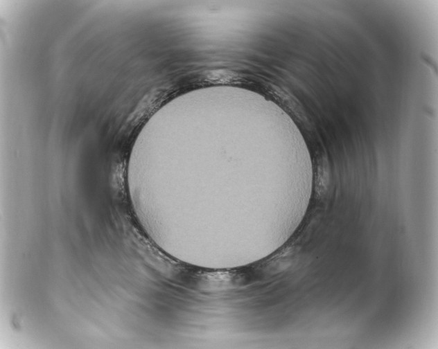 X0000099380473200805291132