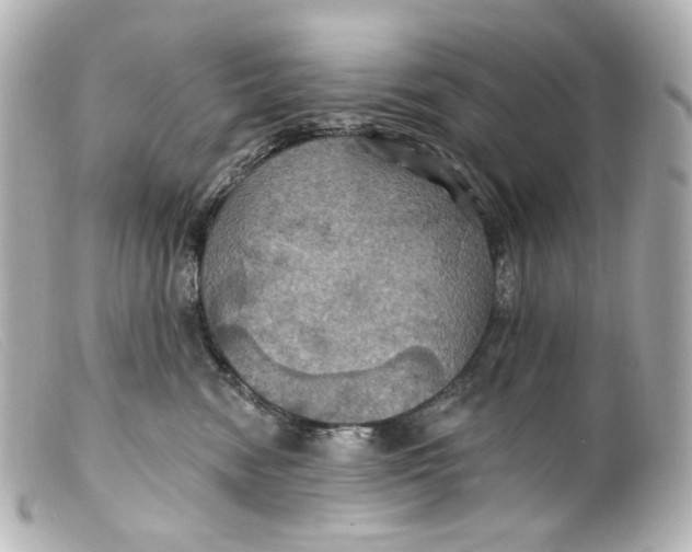 X0000099380474200805291132