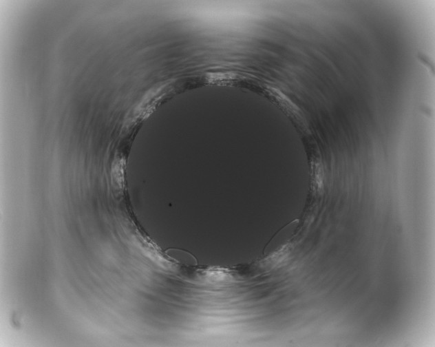 X0000099380475200805291132