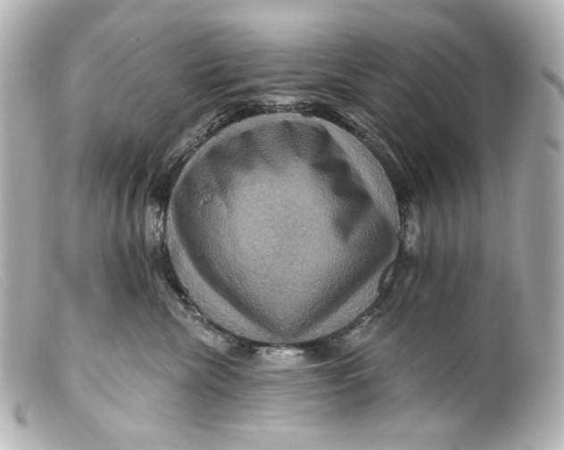 X0000099380476200805291132