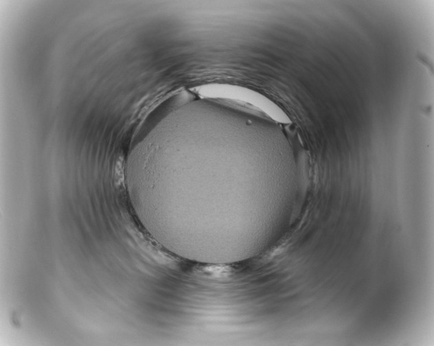 X0000099380478200805291132