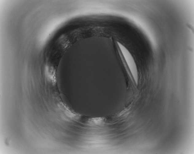 X0000099380479200805291132