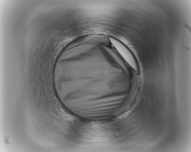 X0000099380481200805291131